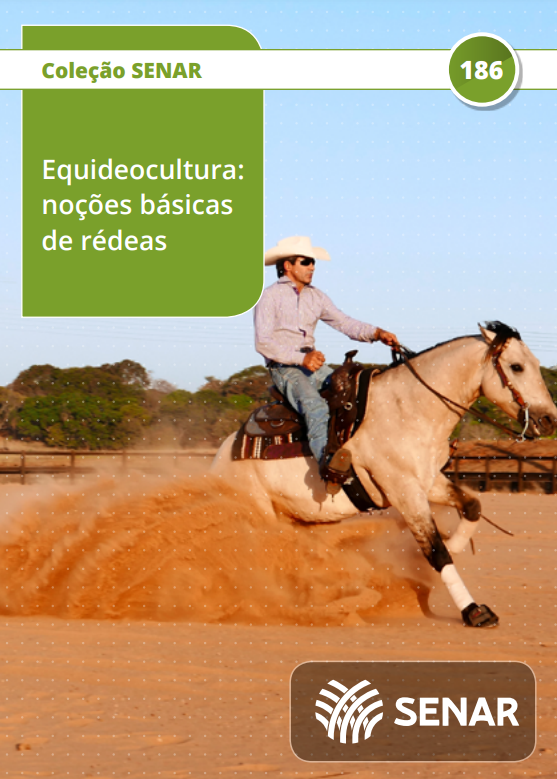 Equideocultura: noções básicas de rédeas