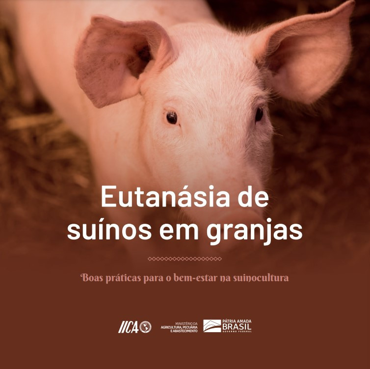 Eutanásia de suínos em granjas: boas práticas para o bem-estar na suinocultura