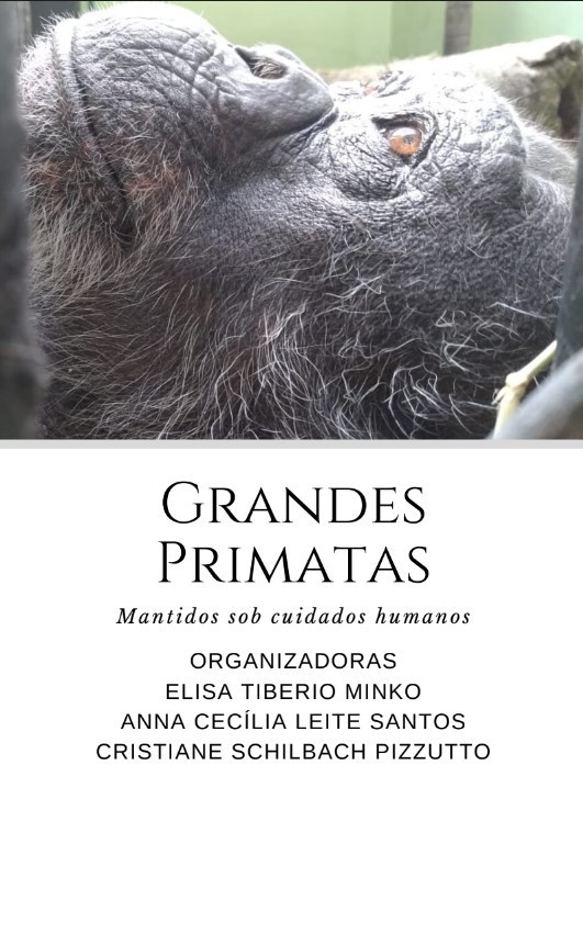 Grandes primatas mantidos sob cuidados humanos