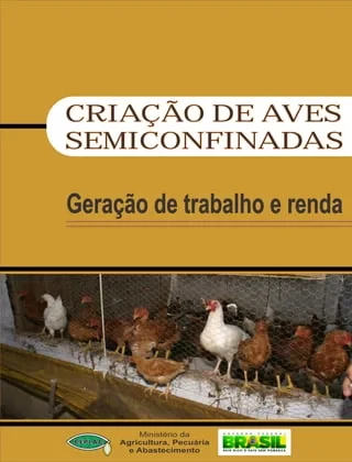 Criação de aves semiconfinadas